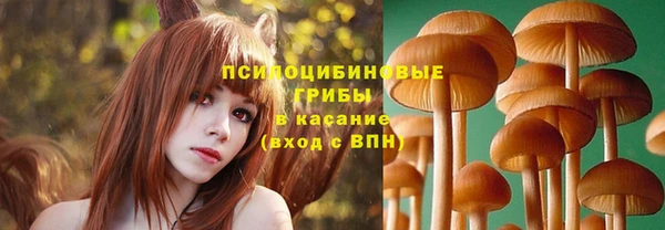 героин Алексин