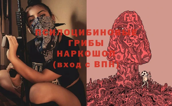 винт Осташков