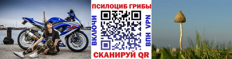где купить   OMG зеркало  Галлюциногенные грибы ЛСД  Новоаннинский 